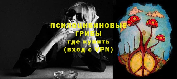 шишки Волоколамск