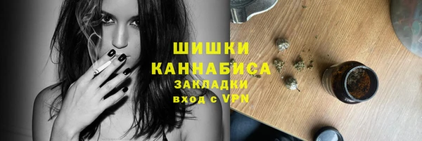 шишки Волоколамск