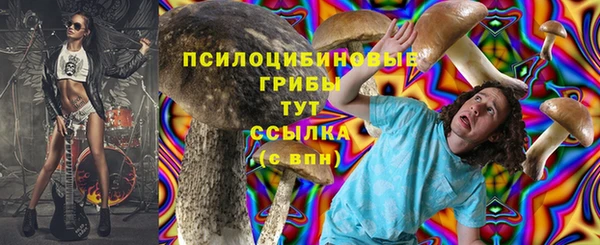 шишки Волоколамск