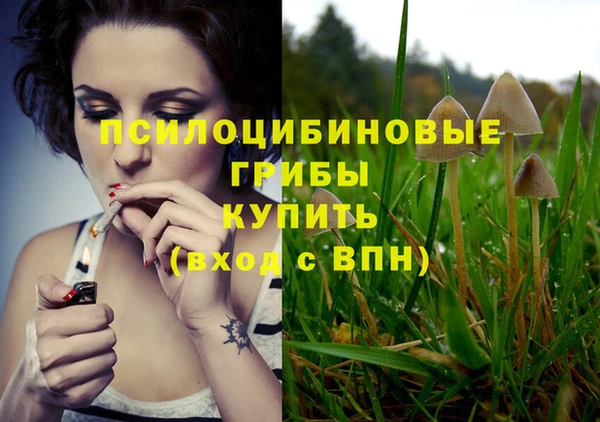 ECSTASY Волосово