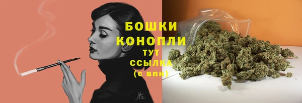 шишки Волоколамск