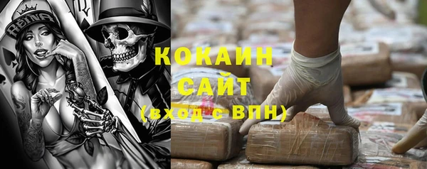 шишки Волоколамск